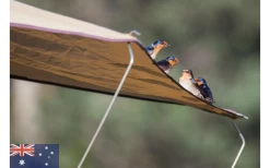 Gordigear Dachzelt Plus Für 3 Personen Mit Staufläche 165 X 320 Cm Grün 10 Gordigear Dachzelt Plus Für 3 Personen Mit Staufläche 165 X 320 Cm Grün -Camping Abenteuer Verkauf 737351 4968530